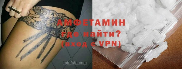 прущие грибы Абинск