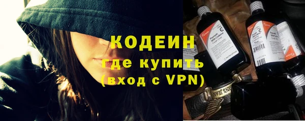 прущие грибы Абинск