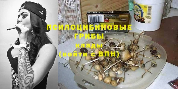 прущие грибы Абинск