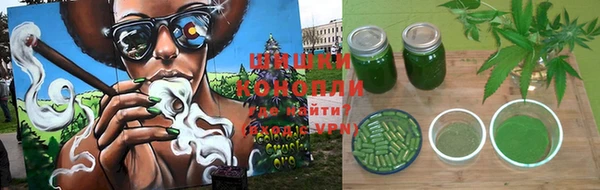 бошки Алексин